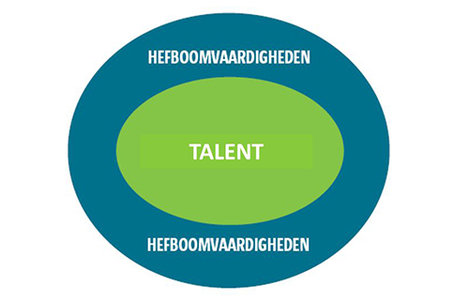 competenties en talent werking