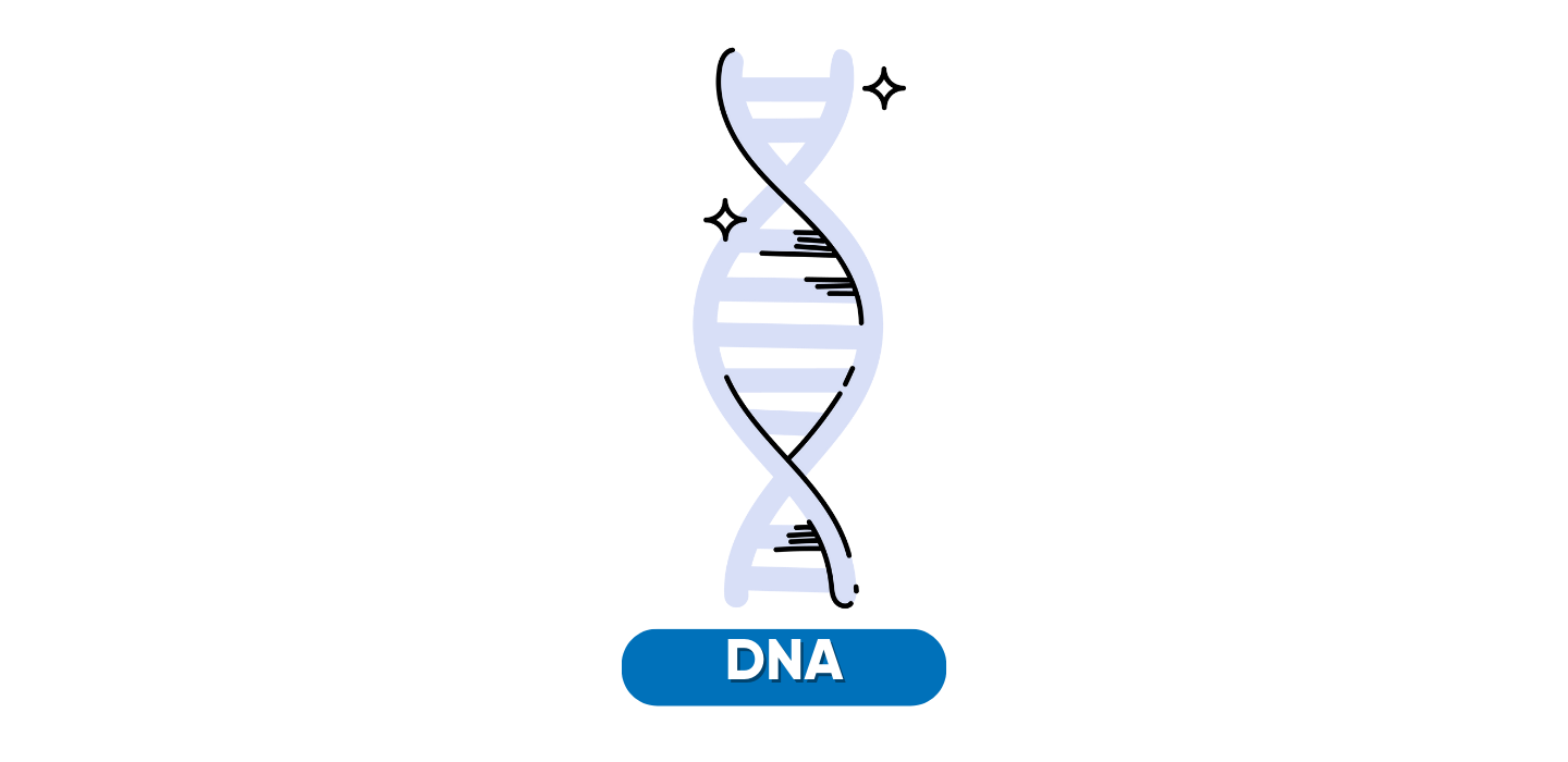 DNA van de jeugdwerker